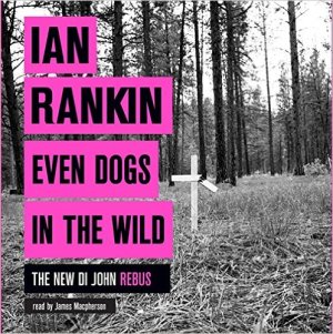 61wMZQZ69PL._SX496_BO1,204,203,200_